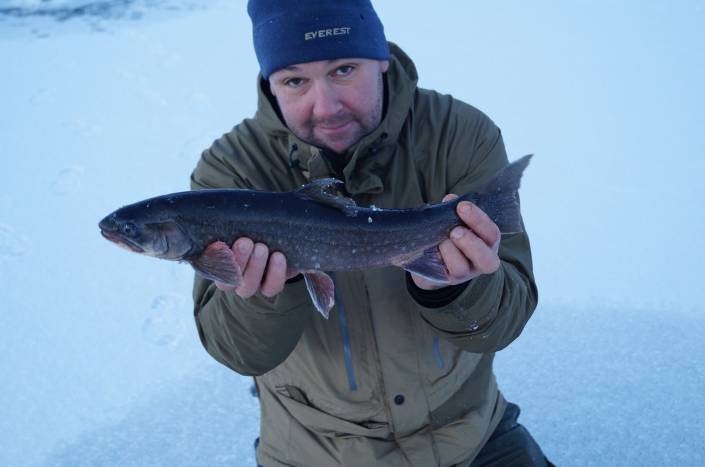 1.5kg