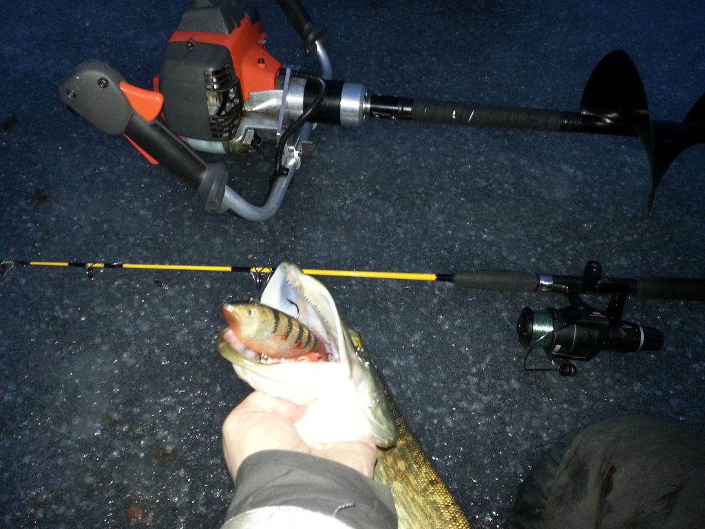 Fiskeguide Fiskeguidning www.fishguide.se