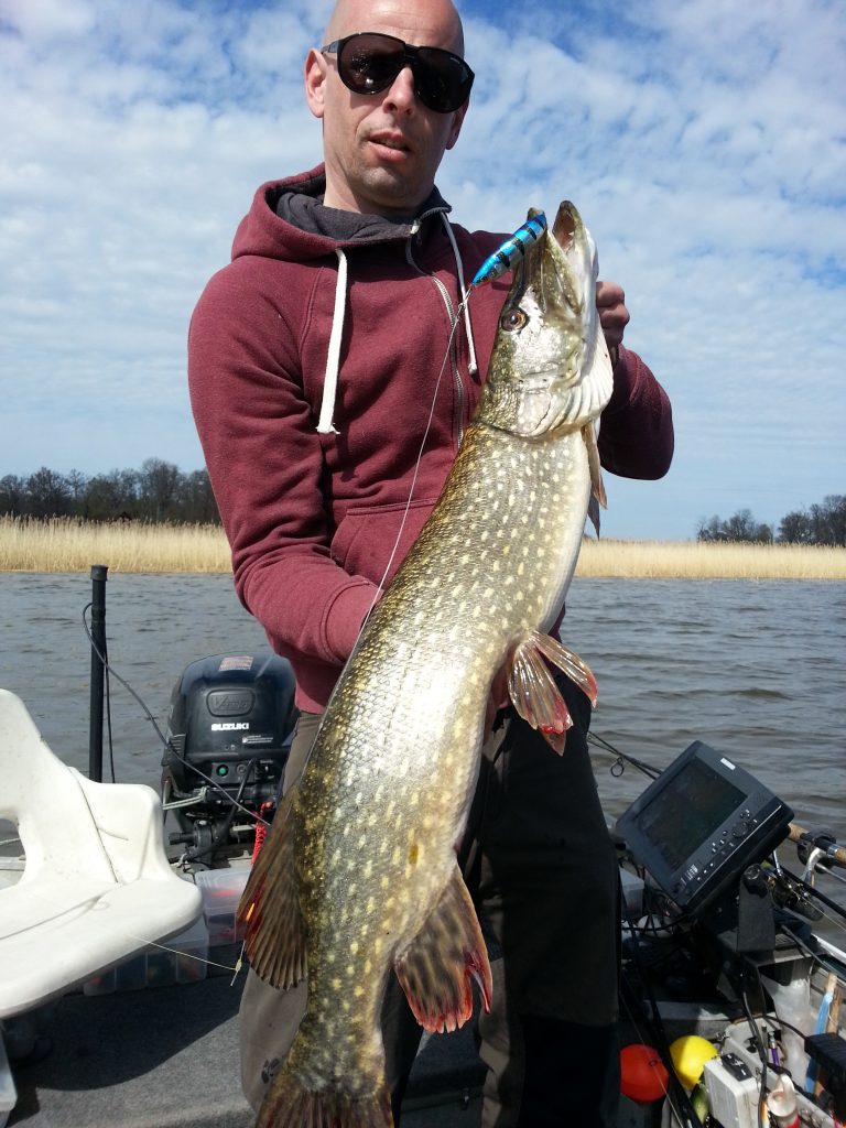 www.fishguide.se