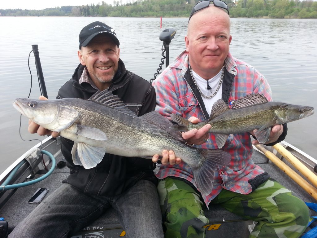 www.fishguide.se