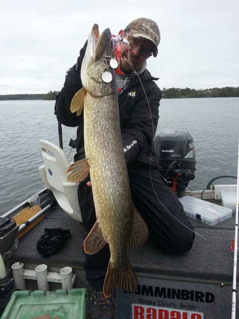 www.fishguide.se