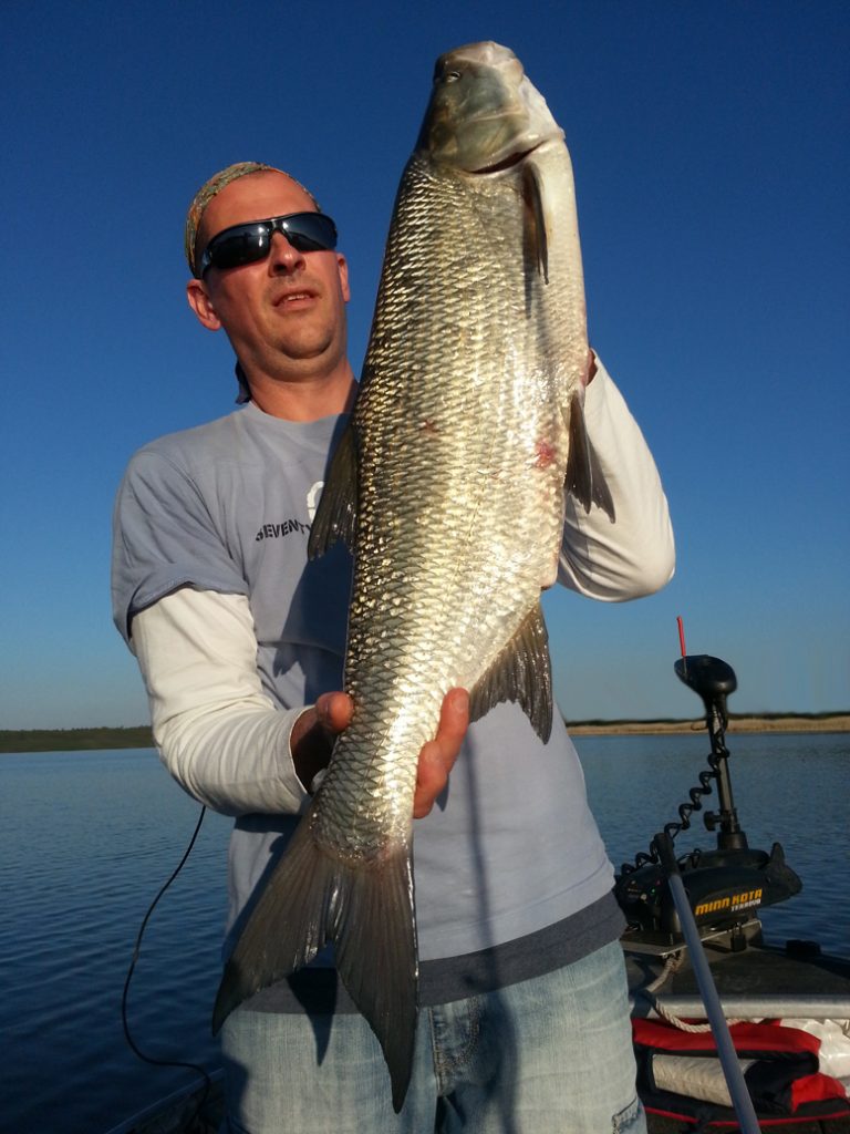 www.fishguide.se