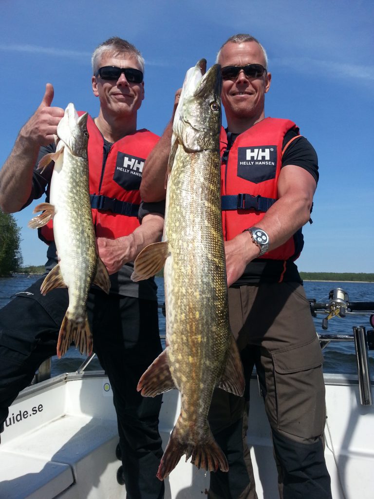 www.fishguide.se
