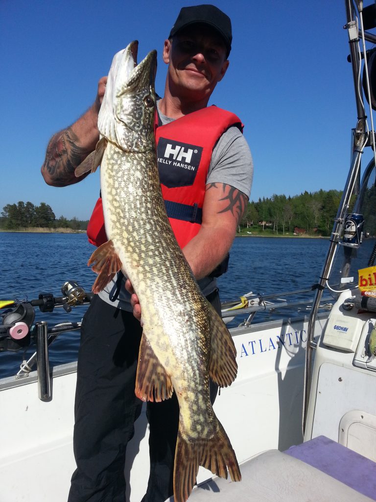 www.fishguide.se