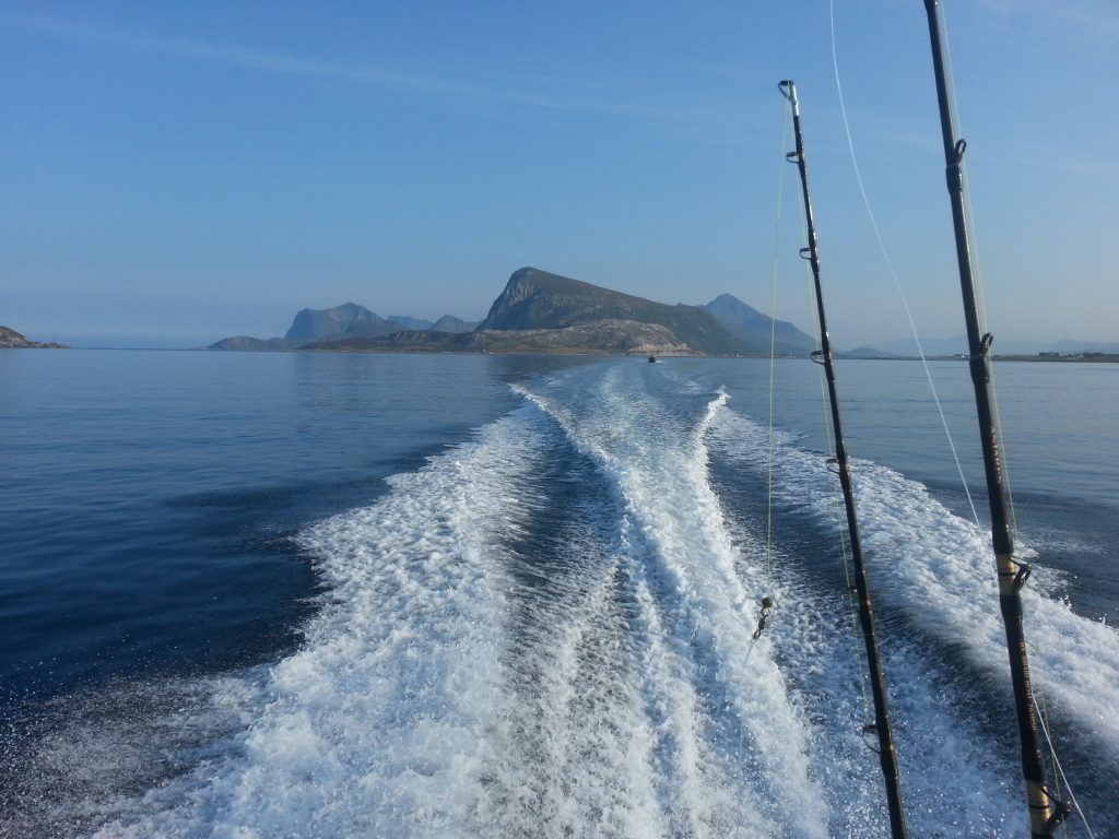 fiskeguide fiskeguidning www.fishguide.se