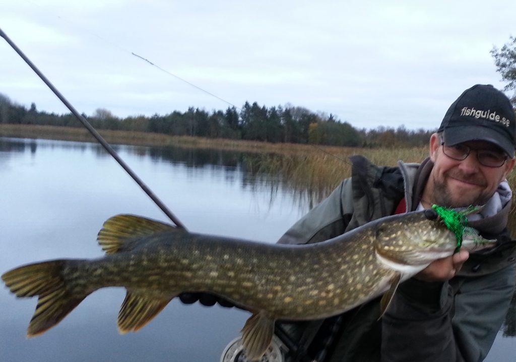 www.fishguide.se www.fiskeguide.pro www.fiskeguidning.pro 