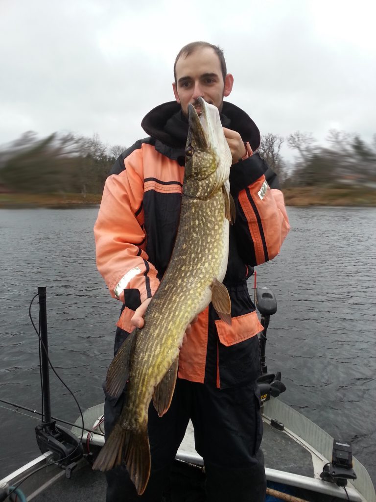 En fin gädda via fiskeguidning med fiskeguide Micke Puhakka! Hemsida: www.fishguide.se