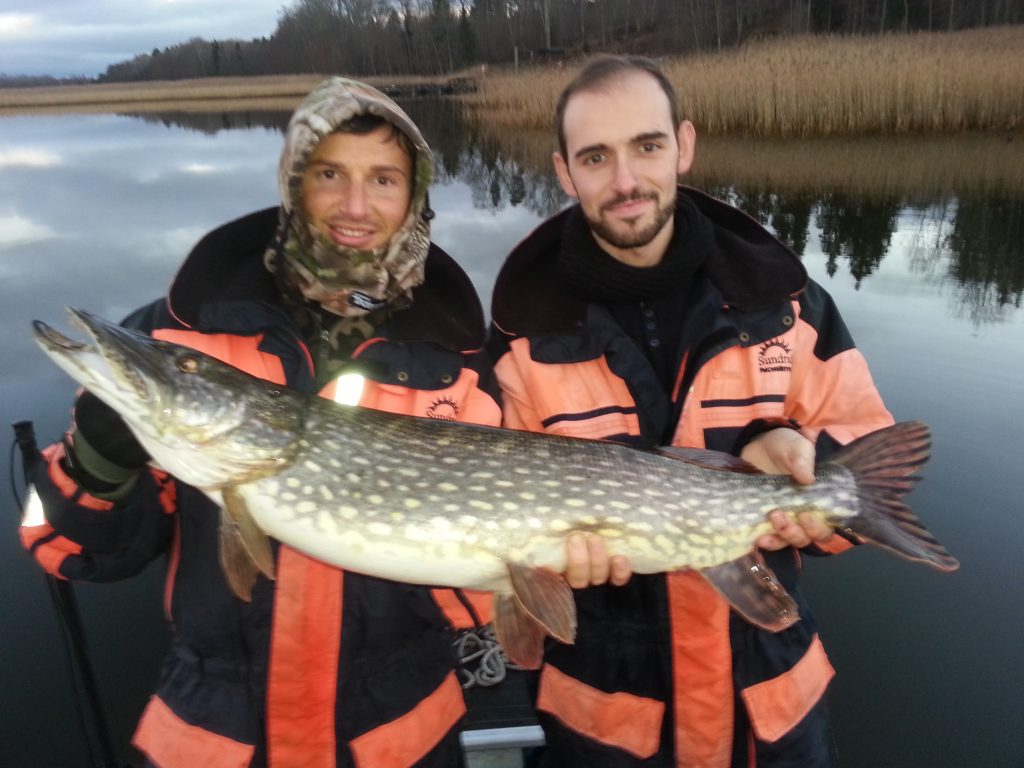 Fin gädda via fiskeguidning med fiskeguide Micke Puhakka! www.fishguide.se 