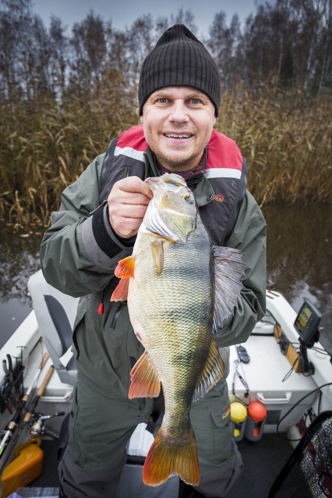 Stefan ''Källan'' Källström med nytt pb på abborre 1750 gram. Jurrasic Pearch 2015-11-01. Foto: Jonas Classon