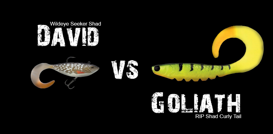 david vs goliath