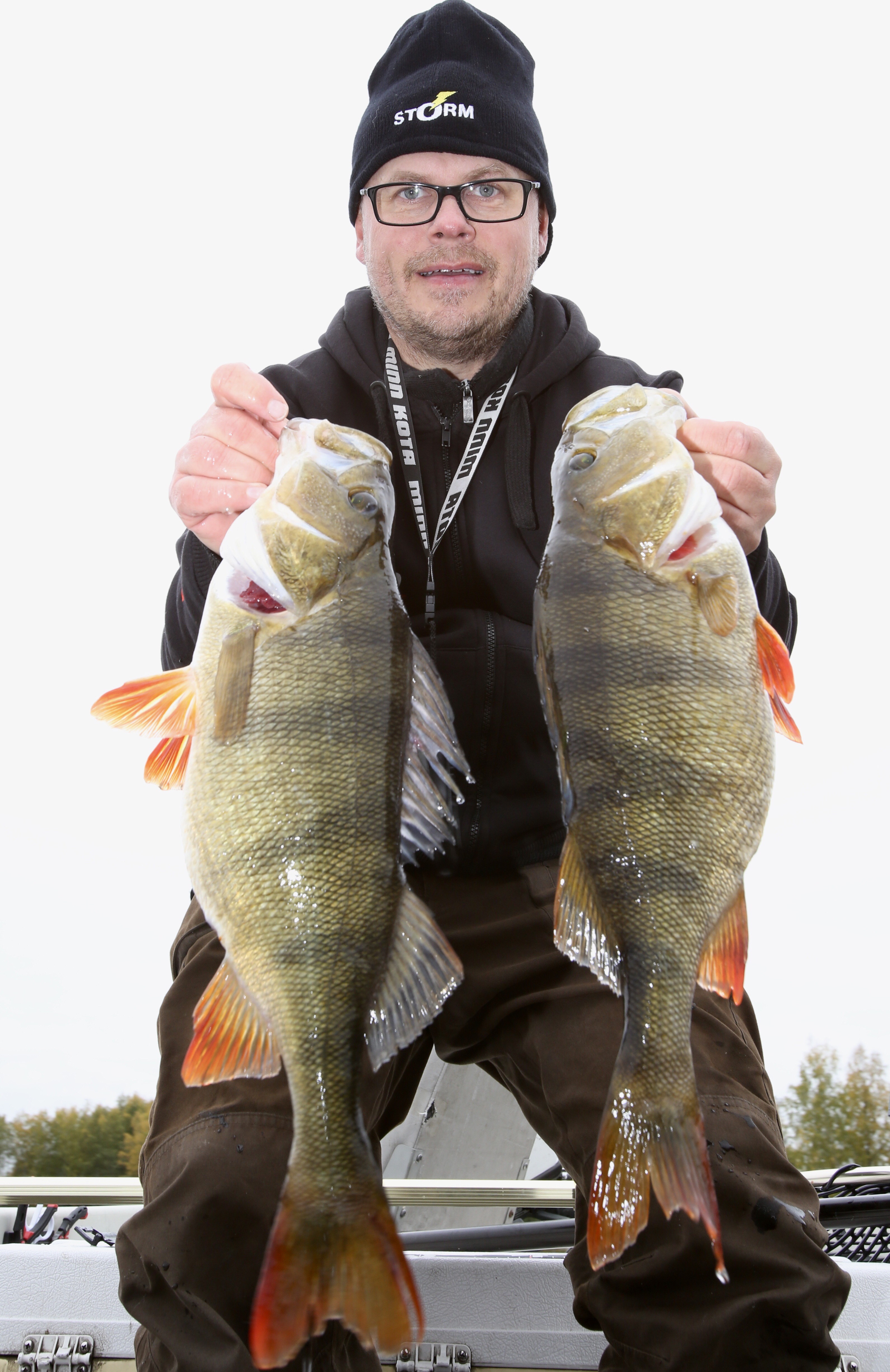 Grymma abborrar på Rapala Shadow Rap Ett drömfiske efter abborre med Rapala Shadow Rap