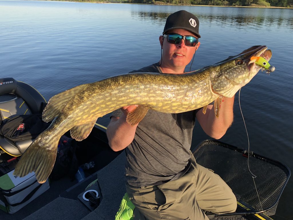 Storm T-Bone Shad är min favoritjigg till gäddfiske